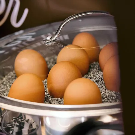 Duesseldorf-city 3* Düsseldorf